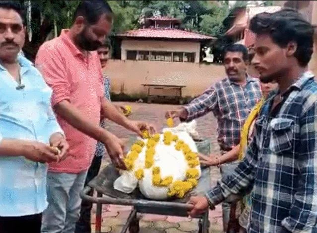 इंदौर में कुत्ते के काटने से शख्स की मौत, अंतिम संस्कार के लिए भी पैसे नहीं; प्रशासन पर उठे सवाल