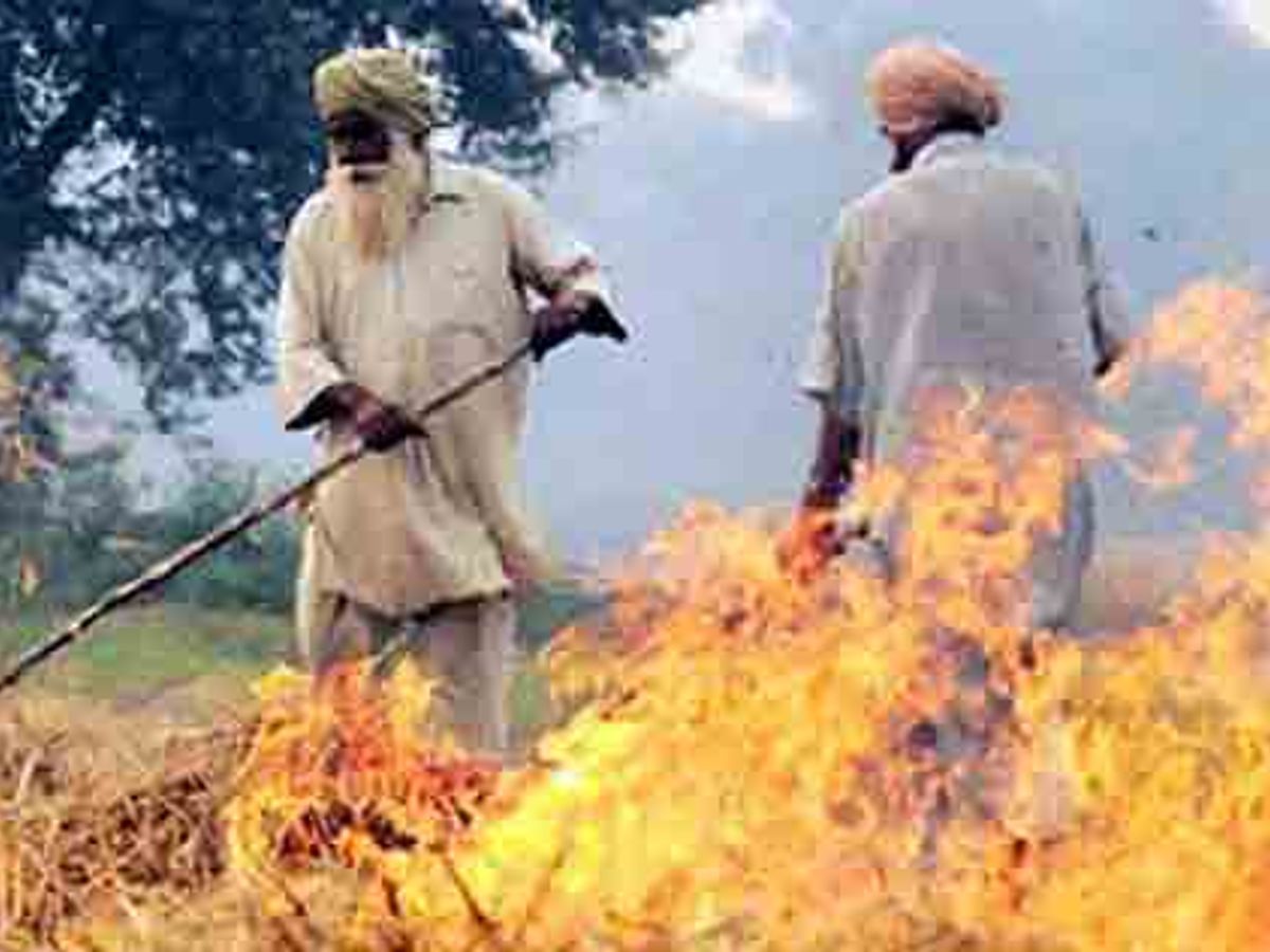 पंजाब में खूब जल रही पराली, AQI पर असर, 266 FIR दर्ज